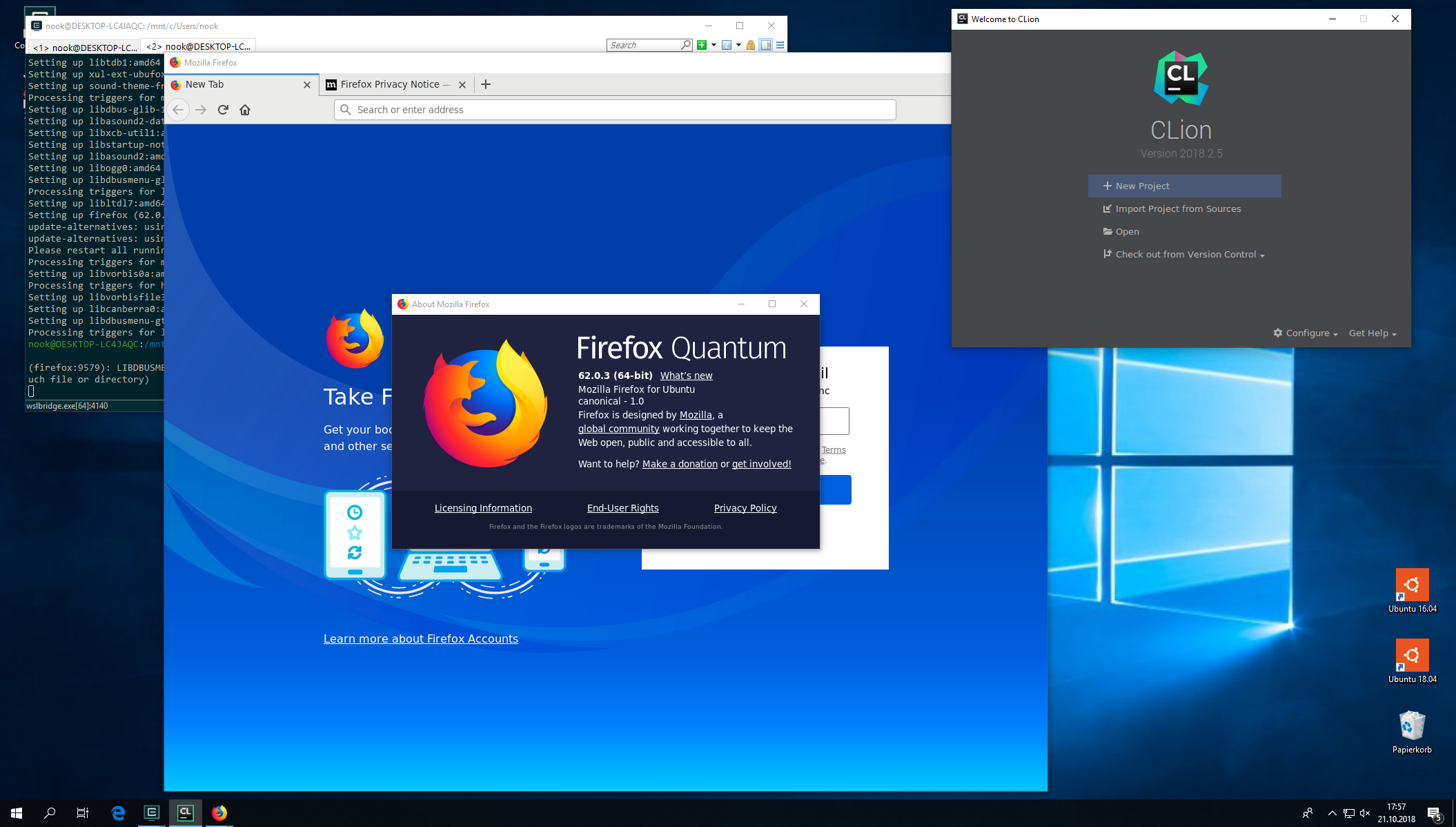 CLion und Firefox laufen in WSL